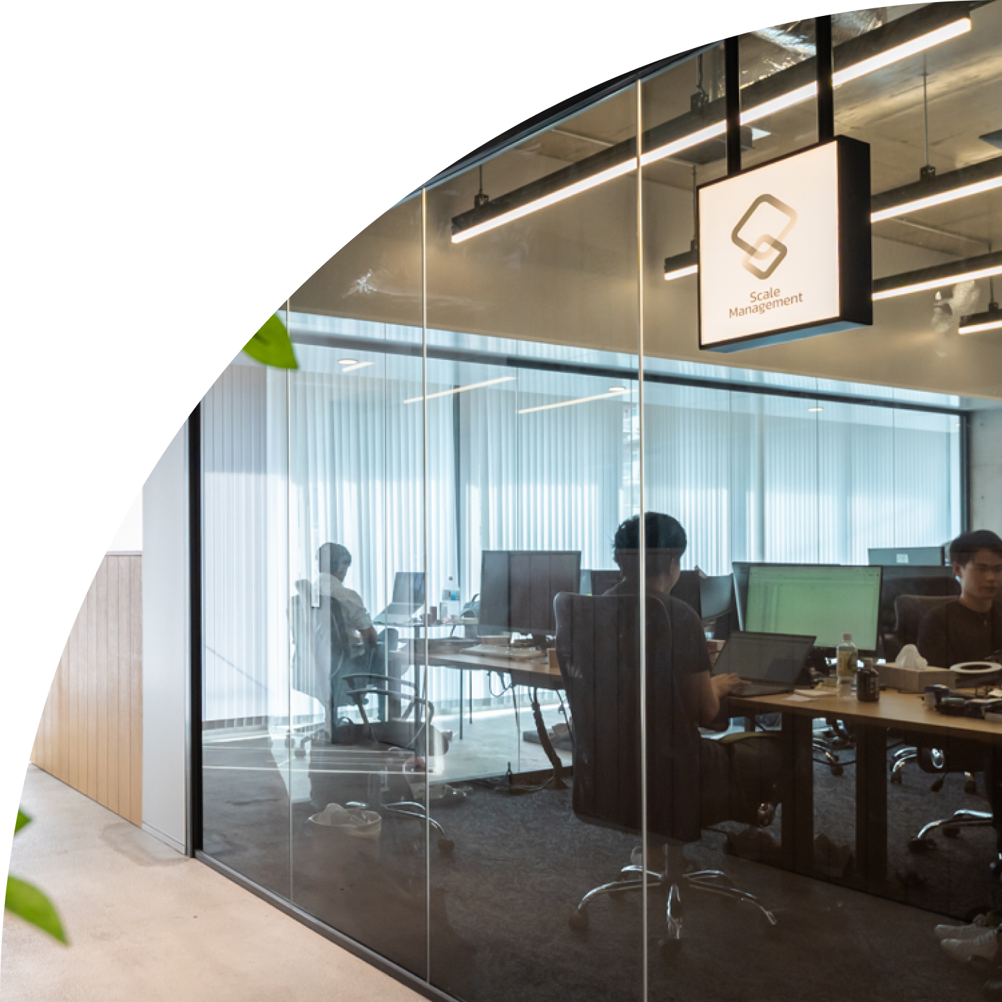 企業情報